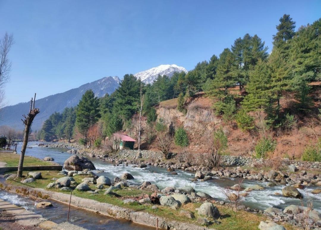 New Relax Inn, Pahalgam, 2 Km From Lidder Valley Экстерьер фото