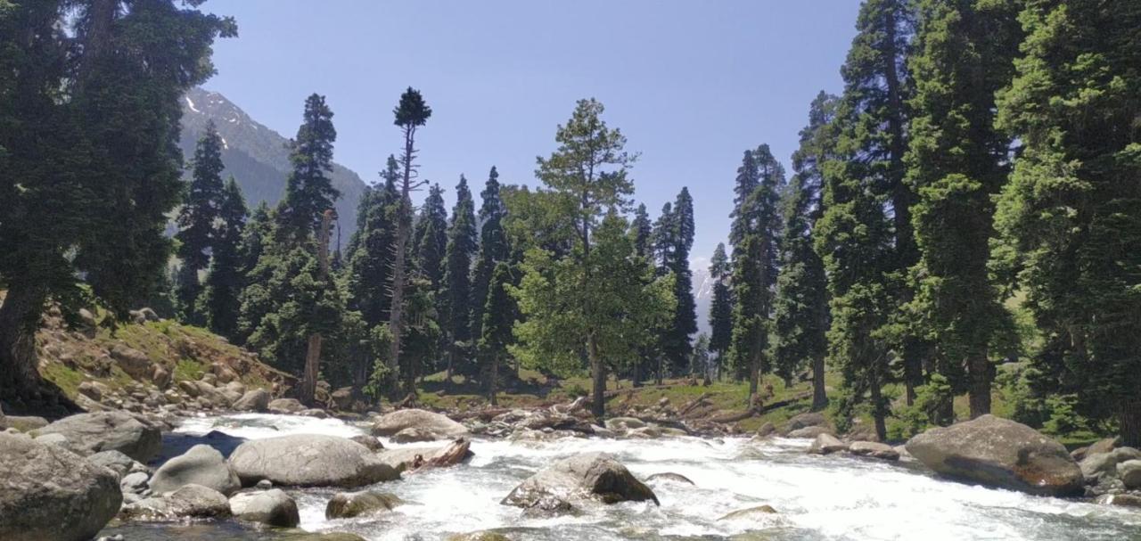 New Relax Inn, Pahalgam, 2 Km From Lidder Valley Экстерьер фото